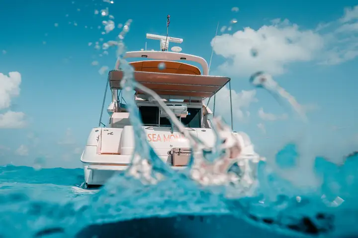 Sea Monkey 50ft, foto 8