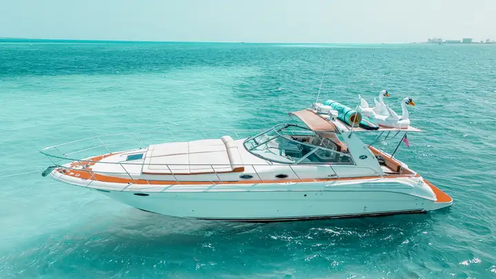 Señorita 43ft, foto 4