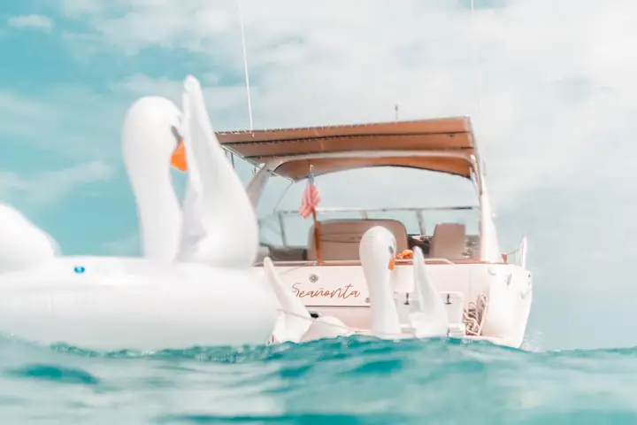 Señorita 43ft, foto 18